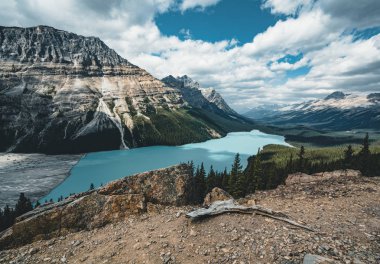 Peyto Lake, Banff National Park Türkiye üzerinden görünüm