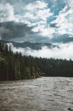 Alberta, Kanada Kanada rocky Dağları tarafından Athabasca nehir akar. Jasper National Park, Alberta, Kanada'da çekilmiş fotoğrafı.