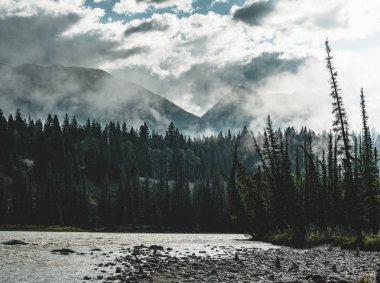 Alberta, Kanada Kanada rocky Dağları tarafından Athabasca nehir akar