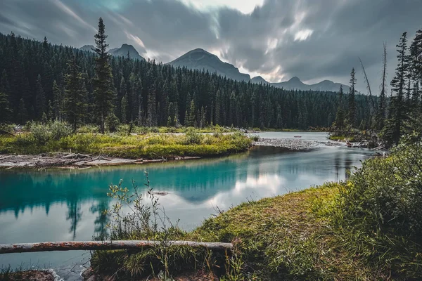 Bow River Cama azul bonito com montanhas no fundo e árvore e foreast em primeiro plano . — Fotografia de Stock