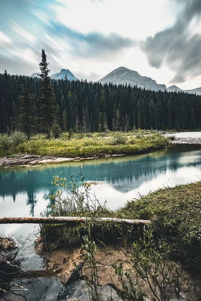 Bow River Cama azul bonito com montanhas no fundo e árvore e foreast em primeiro plano . — Fotografia de Stock