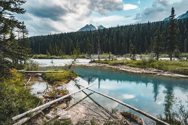 Bow River Bed beau bleu avec des montagnes en arrière-plan et arbre et avant-plan au premier plan . — Photo