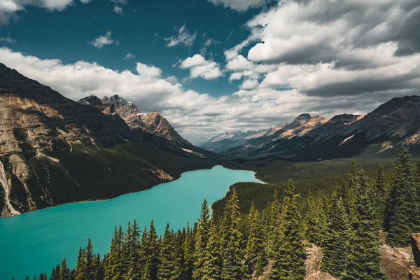 カナダのバンフ国立公園ペイトー湖の景色 — ストック写真