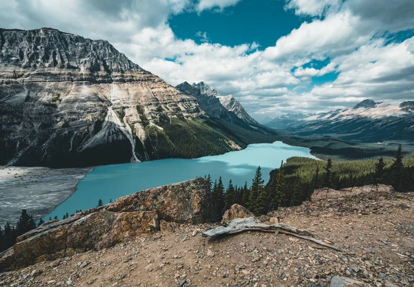 Vue sur le lac Peyto, parc national Banff Canada — Photo