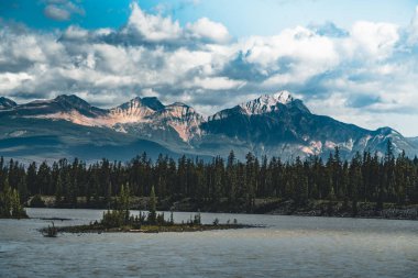the Athabasca river flows by the Canadian rocky mountains in Alberta, Canada clipart