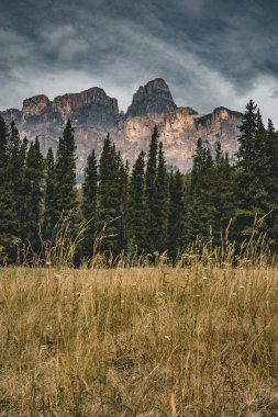 İzole tepe ve çevreleyen dağlar ve ormanlar Banff National Park, Alberta, Kanada Rocky Dağları.