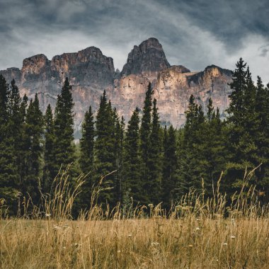İzole tepe ve çevreleyen dağlar ve ormanlar Banff National Park, Alberta, Kanada Rocky Dağları.