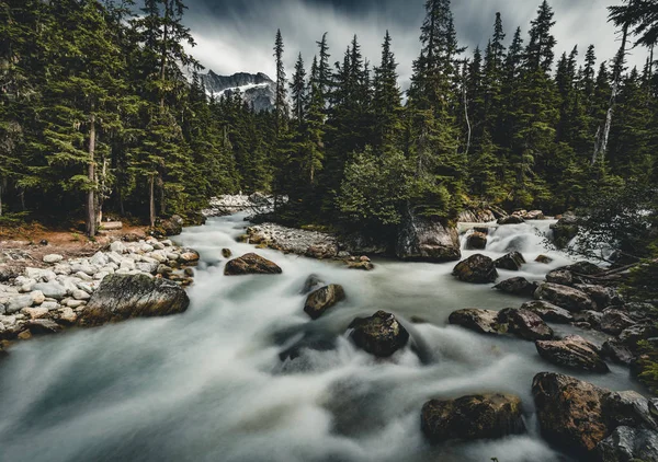 Mount efendim Donald Glacier Ulusal Park Türkiye ile uzun pozlama Illecillewaet Nehri.