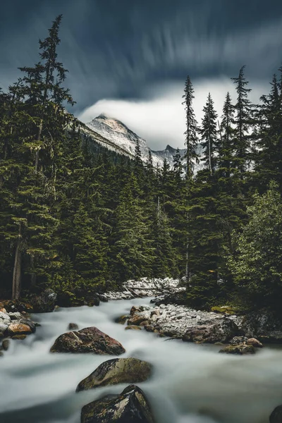 Long Exposure of Illecillewaet river with Mount Sir Donald Glacier National Park Canadá . — Foto de Stock