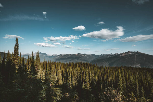 View from Mount Revelstoke across forest with blue sky and clouds. British Columbia Canada.