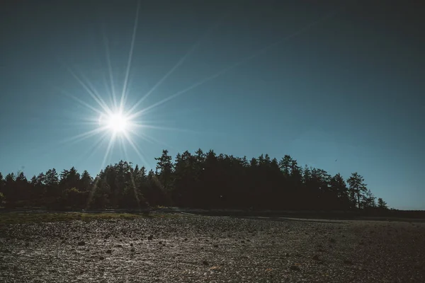 Vancouver Island beach δείτε σε σαφή μπλε ουρανό με sunstar και την ακτή του Ειρηνικού. Καναδάς. — Φωτογραφία Αρχείου