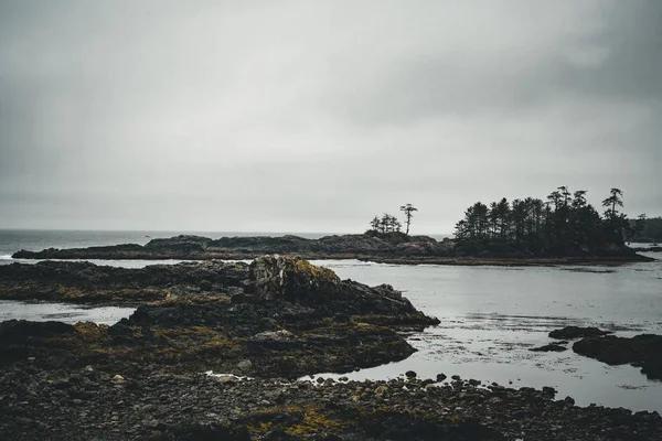 West coast Vancouver Adası yakınlarında Ucluelet British Columbia Kanada yabani Pasifik izinde