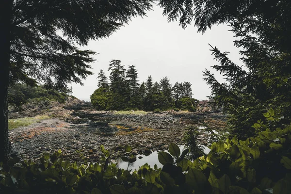West coast Vancouver Adası yakınlarında Ucluelet British Columbia Kanada yabani Pasifik izinde — Stok fotoğraf