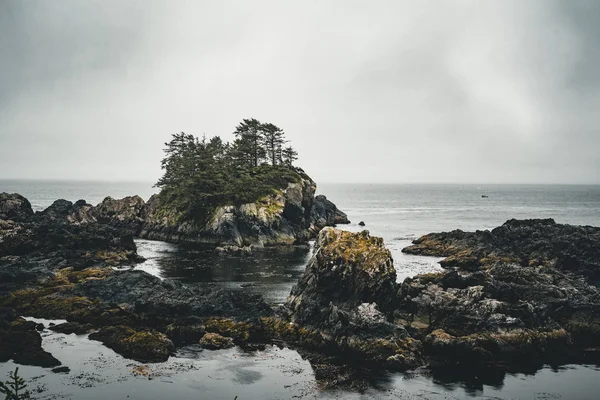 West coast Vancouver Adası yakınlarında Ucluelet British Columbia Kanada yabani Pasifik izinde