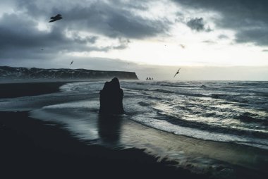 Ünlü siyah kum Beach Reynisfjara İzlanda'daki güneş doğarken. Rüzgarlı sabah. Okyanus dalgaları. Renkli gökyüzü. Sabah günbatımı.
