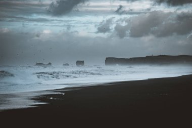 Ünlü siyah kum Beach Reynisfjara İzlanda'daki güneş doğarken. Rüzgarlı sabah. Okyanus dalgaları. Renkli gökyüzü. Sabah günbatımı.