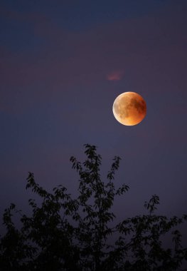 Tam ay tutulması bloodmoon Almanya'da görünümü üzerinde 28 Temmuz 2018