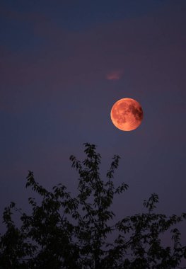 Tam ay tutulması bloodmoon Almanya'da görünümü üzerinde 28 Temmuz 2018