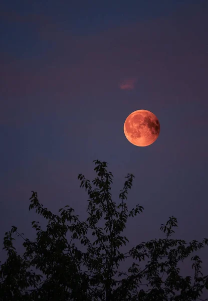 Vista de la luna de sangre total del eclipse lunar el 28 de julio de 2018 en Alemania — Foto de Stock