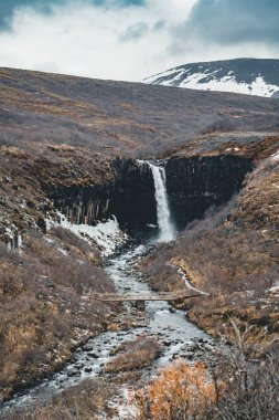 Ünlü Svartifoss siyah sonbahar şelale görünümünü dramatik sabah. Skaftafell, Vatnajokull Milli Parkı, İzlanda, Avrupa'nın renkli yaz gündoğumu. Tarzı yazı işlenmiş fotoğraf.