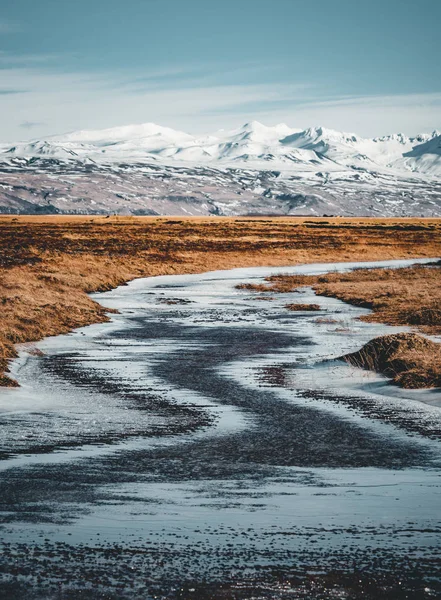 Izland tipikus hegyi téli táj, fű, előtérben és háttérben hatalmas hegy. — Stock Fotó