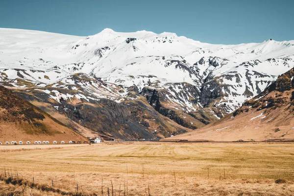 Çimen ön planda ve arka planda büyük dağ ile İzlanda tipik dağ kış manzara. — Stok fotoğraf