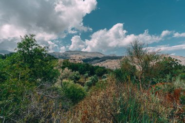 Mointains in Crete, Greece. View to Sivas. Panorama landscape from south-central Crete. In the background the Psiloritis as the highest elevation. In the foothills typical landscape with olive groves clipart