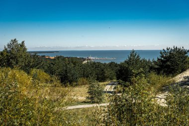 Yaz, yatay, beyaz kum tepeleri, çalılar ve gökyüzü. Curonian Spit, Baltık Denizi. UNESCO Dünya Miras Listesi.