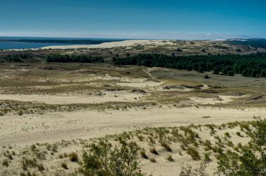 Yaz, yatay, beyaz kum tepeleri, çalılar ve gökyüzü. Curonian Spit, Baltık Denizi. UNESCO Dünya Miras Listesi.