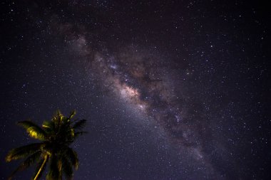 Palmiye ağaçları Endonezya arkasında Milkyway