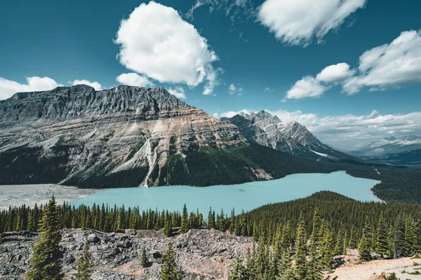 Nézd át Peyto Lake, Banff National Park, Kanada — Stock Fotó