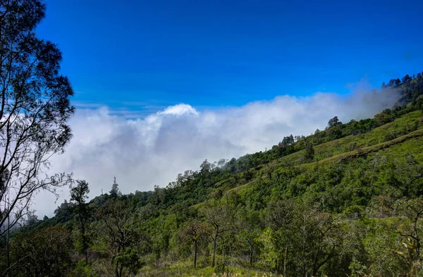 Δείτε πάνω από σύννεφα από βουνό μπλε ουρανό όρος Rinjani Ind Λομπόκ — Φωτογραφία Αρχείου