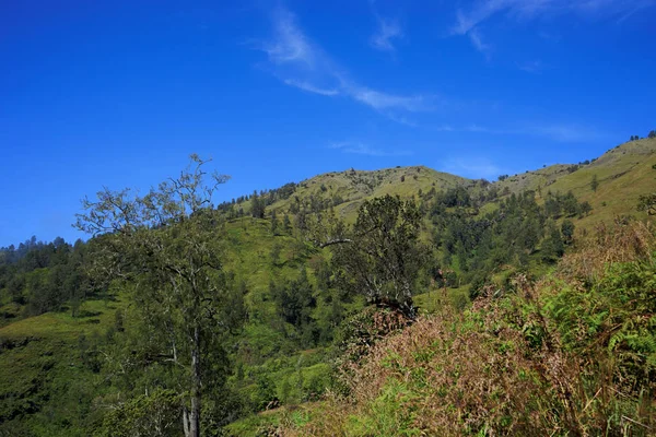 青い山上空をマウント Rinjani ロンボク インドネシアを表示します。 — ストック写真