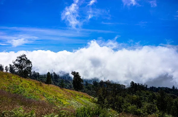 山の青い空マウント Rinjani ロンボク Ind から雲の上を表示します。 — ストック写真
