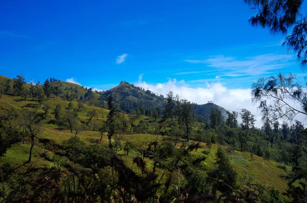 Blick über Wolken vom Berg blauen Himmel Mount rinjani lombok ind — Stockfoto