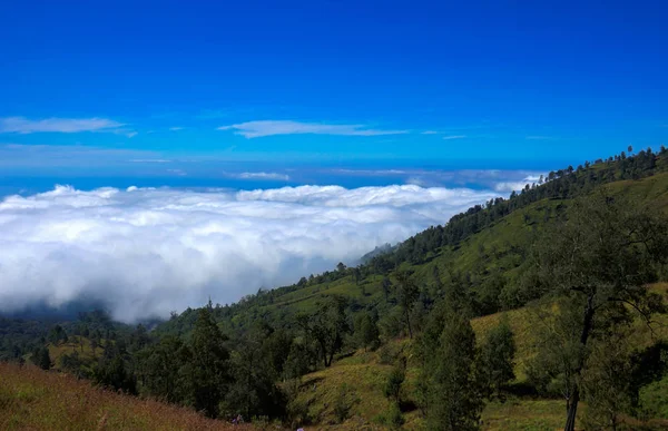 Zobacz ponad chmury z góry niebieski niebo Mount Rinjani Lombok Ind — Zdjęcie stockowe