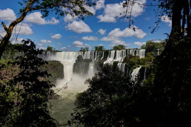 Iguazu Şelaleleri ormanı Arjantin