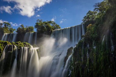 Iguazu Şelaleleri ormanı Arjantin