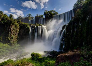 Iguazu Şelaleleri ormanı Arjantin