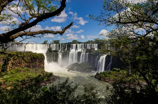 Iguazu Şelaleleri ormanı Arjantin