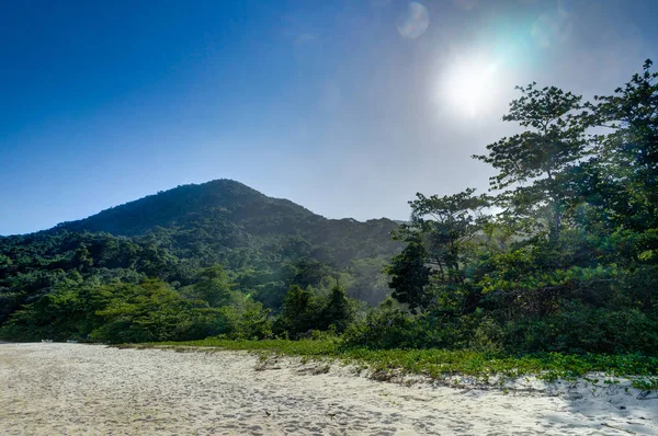 Παραλία Pedra da Praia do Meio Trindade, Paraty Rio de Janeiro Bra — Φωτογραφία Αρχείου