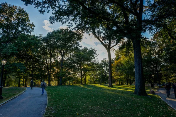 New York Central Park zonsondergang blauwe hemel bomen Manhatten — Stockfoto