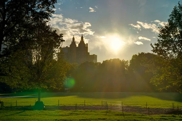 New York Central Park Sunset blå himmel träd Manhatten — Stockfoto