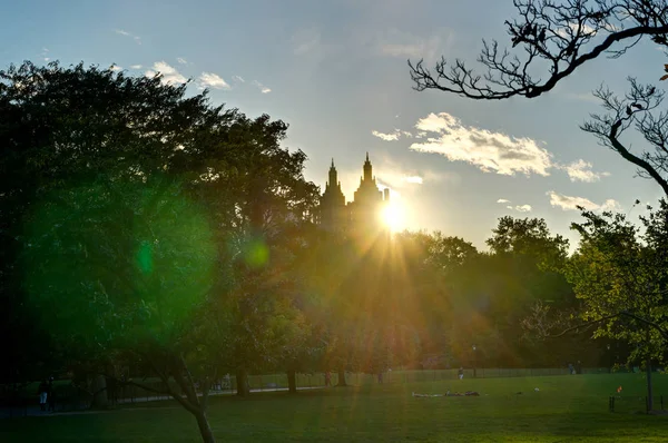 New York Central Park zonsondergang blauwe hemel bomen Manhatten — Stockfoto