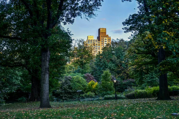 New York Central Park met Skyline View Sunset bomen wolken — Stockfoto