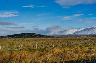 Kış dağlarda. Bir güneşli sabah Noel peyzaj.