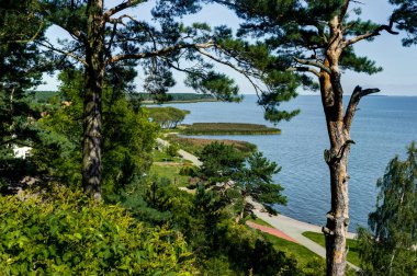 Yaz, yatay, beyaz kum tepeleri, çalılar ve gökyüzü. Curonian Spit, Baltık Denizi. UNESCO Dünya Miras Listesi.