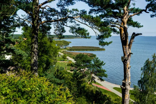 Летний пейзаж с белыми песчаными дюнами, кустами и небом. Куршская коса, Балтийское море. Всемирное наследие ЮНЕСКО . — стоковое фото