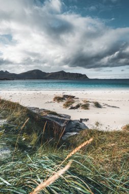Tipik Lofoten plaj manzarası Ramberg Lofoten denizde kare. Mavi gökyüzü ile güzel bir gün ve bazı bulutlar ön çim ile sahnede. Lofoten Adaları, Norveç Europe