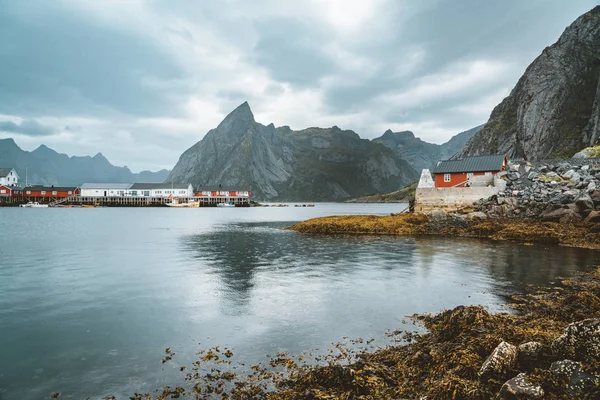 Beroemde toeristische trekpleister van Reine in Lofoten, Noorwegen met rode rorbu huizen, wolken, regenachtige dag met brug en gras en bloemen. — Stockfoto